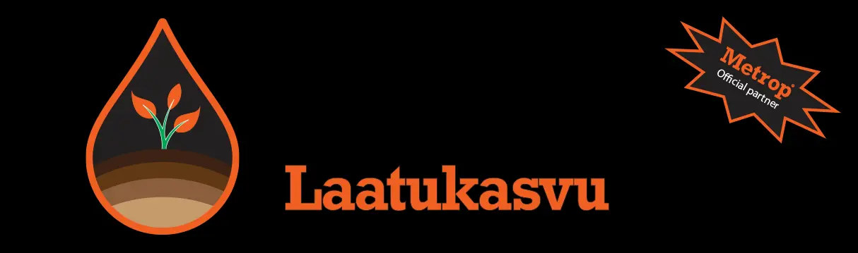 Laatukasvu